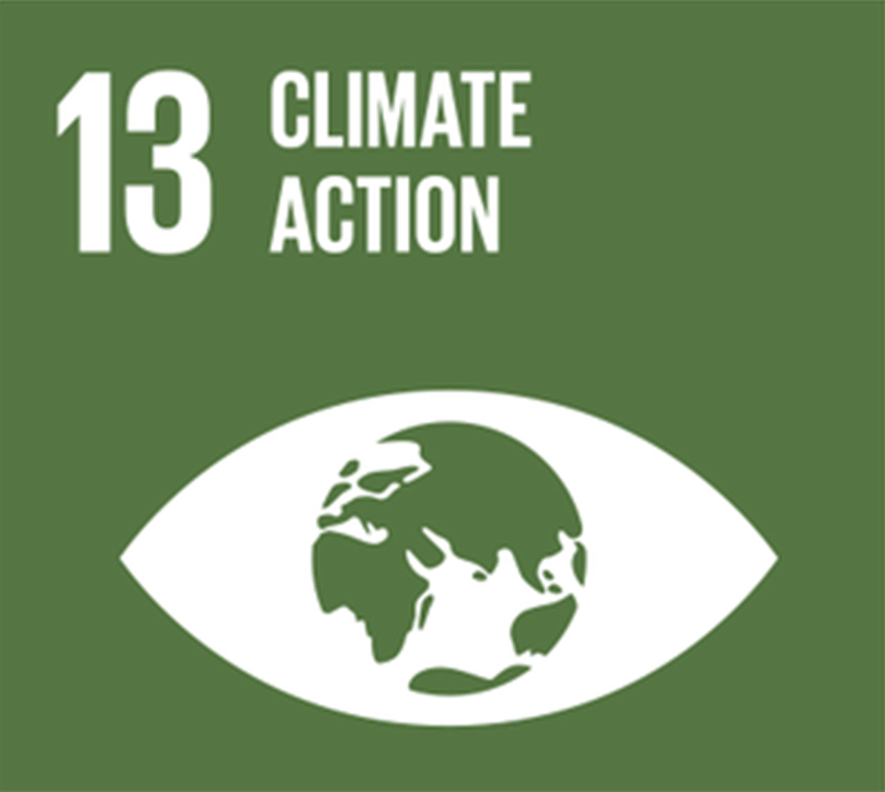 Climate Action - #13.jpg